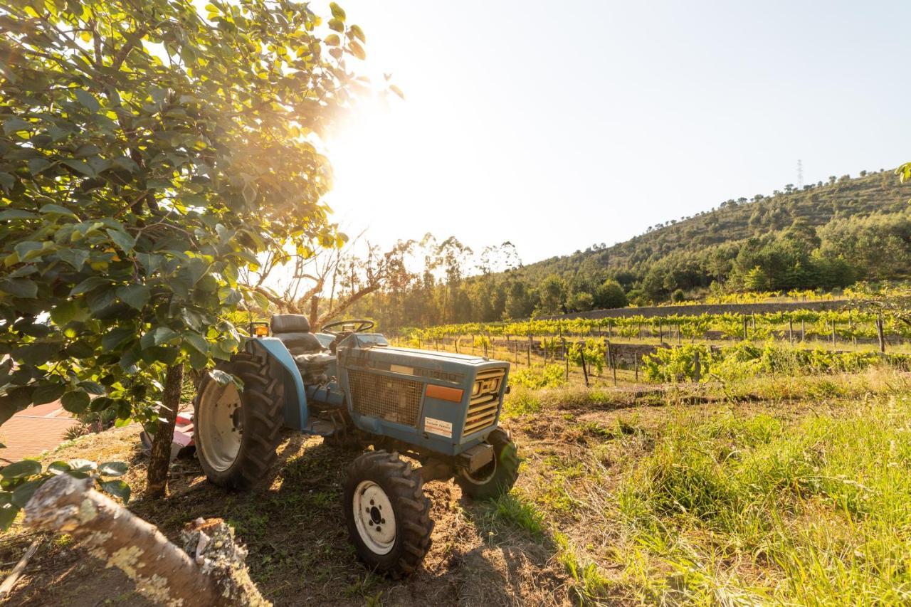 Quinta Da Fonte - Agroturismo Barroselas Εξωτερικό φωτογραφία