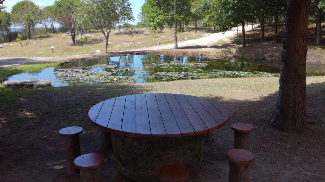 Quinta Da Fonte - Agroturismo Barroselas Εξωτερικό φωτογραφία