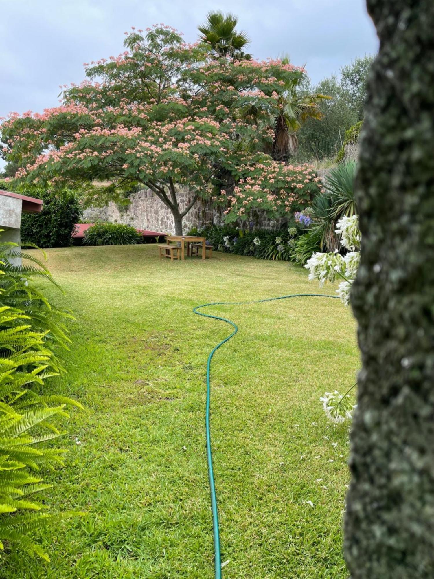 Quinta Da Fonte - Agroturismo Barroselas Εξωτερικό φωτογραφία