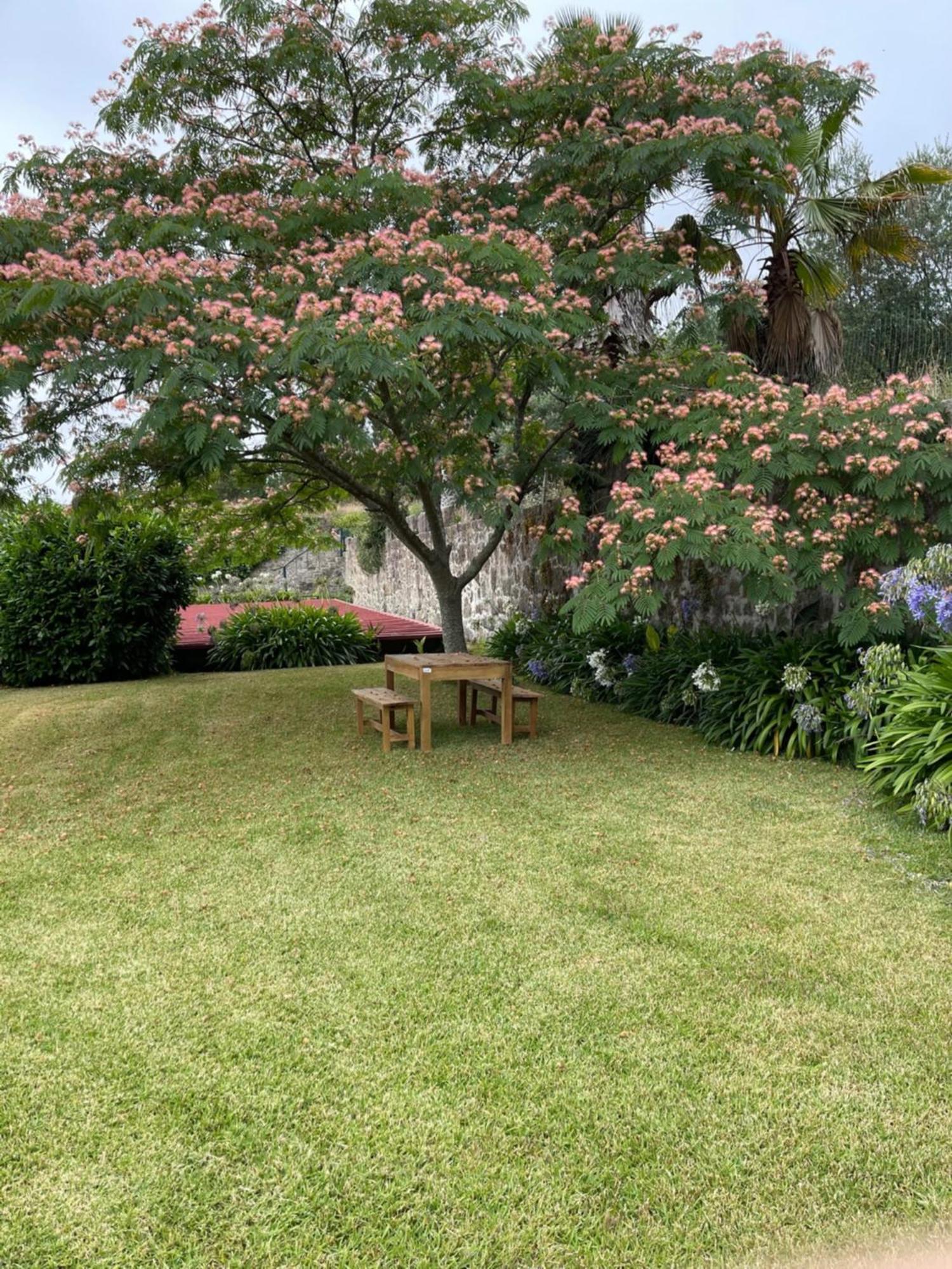 Quinta Da Fonte - Agroturismo Barroselas Δωμάτιο φωτογραφία